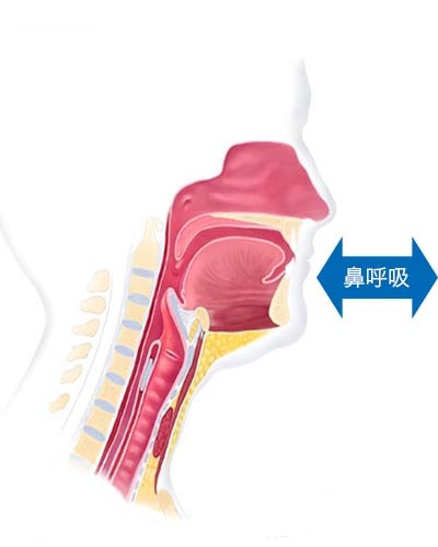 喉摘前:鼻呼吸
