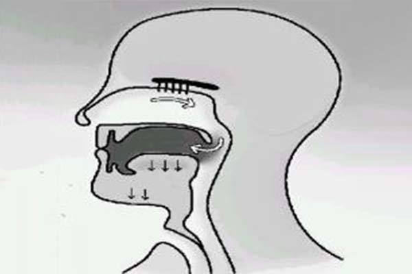 食事の香りを楽しみたい